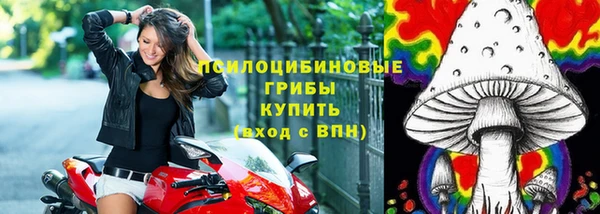 гидропоника Алзамай