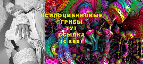 ешки Алексеевка