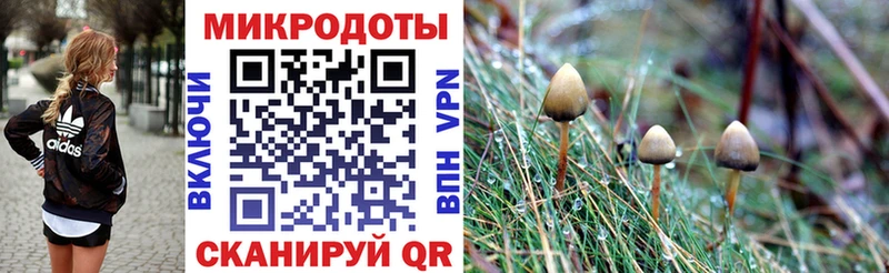 площадка Telegram  Новая Ляля  Псилоцибиновые грибы GOLDEN TEACHER 