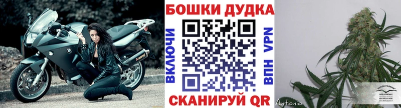 Бошки Шишки VHQ  где найти наркотики  Новая Ляля 